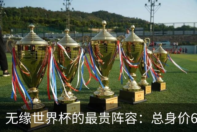 无缘世界杯的最贵阵容：总身价6.7亿 意大利5人